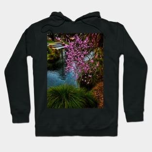 On the Banks of the Avon River Hoodie